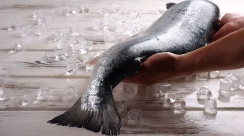 Hands putting fish onto ice. | Stock Video | Pond5