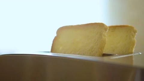 Hands Putting Toast Bread in Toaster in Kitchen Slow Motion Making at Breakfa Video stock 130182455