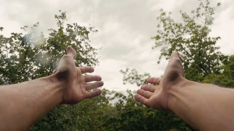 Hands In Rain On Background Of Trees Slow-Mo Stock Footage 80826257