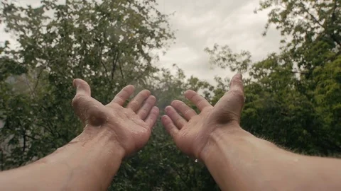 Hands In Rain On Background Of Trees Slow-Mo Stock Footage 80826287