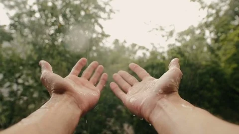 Hands In Rain On Background Of Trees Slow-Mo Stock Footage 80826403