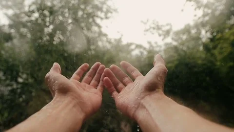 Hands In Rain On Background Of Trees Slow-Mo Stock Footage 80826417