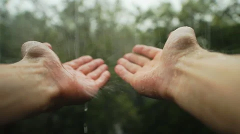 Hands In Rain Stock Footage 53194634