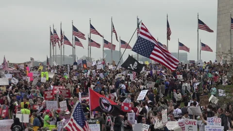 Hands Off rally protesting Trump and Musk, April 2025, DC Stock Footage 306011026