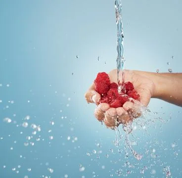 Hands with raspberry, water splash and studio mockup on blue background of Stock Photos