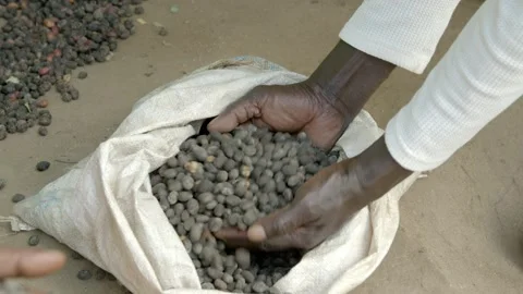 Hands reaching into a bag of dried coffee beans in rural Ethiopia. Stock Footage 303843933