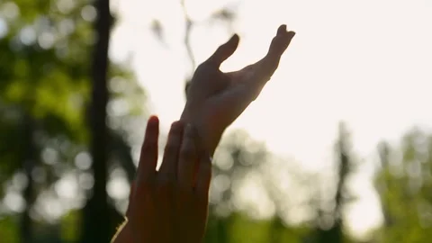 Hands reaching up towards the bright sun in a natural outdoor setting. Vidéo 335156526