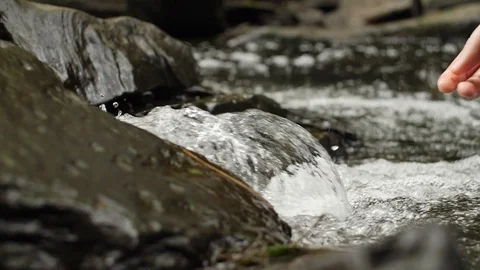 Hands reaching into a waterfall - Slowmotion #2 Stock Footage 90626912
