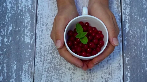 Hands with red currant berries in a white bowl. Stock Footage 157556909
