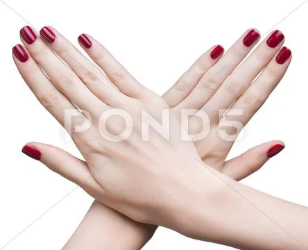 Hands with red manicure Stock Photos