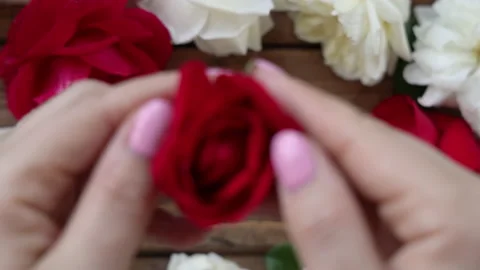 Hands with red rose top view close up Stock Footage 157006300