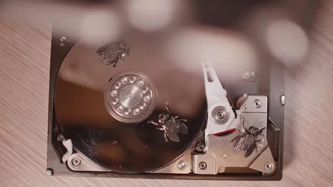 Hands remove lid from HDD case and can see spinning disc with flies and bugs. Stock Footage 124683254