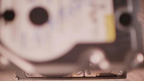 Hands remove lid from HDD case, can see plastic flies, like bugs. Joke, concept Stock Footage 124711504