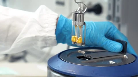 Hands remove wax samples in glass containers from a device for automatic melting Stock Footage 310681486
