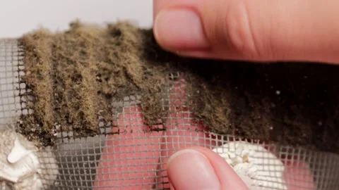 Hands removing dust from dirty clogged ac filter mesh close up view showing.. Stock Footage 317810099