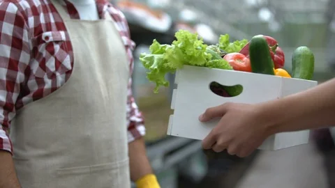 Hands returning box of gmo vegetables to farmer, quality control on food market 動画素材 118935680