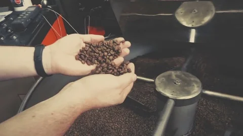Hands With Roasted Coffee Stock Footage 77347751
