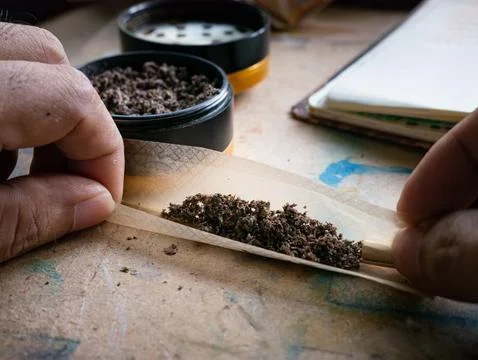 Hands Rolling Cannabis Joint with Ground Marijuana on Rolling Paper Close-up Stock Photos