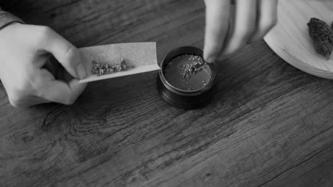 Hands rolling CBD cannabis weed joint - Treatment for anxiety - Black and white  Stock Footage 208663768