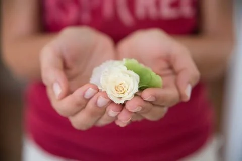 Hands with rose Stock Photos