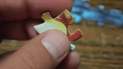 Hands rotating jigsaw puzzle piece Vidéo 310300039