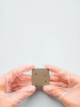 Hands in rubber glove with Central Computer Processor. CPU on grey background Stock Photos