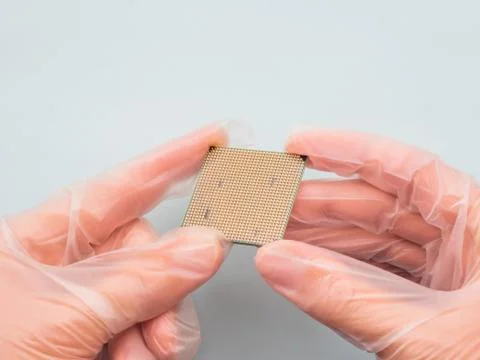 Hands in rubber glove with Central Computer Processor. CPU on light blue back Stock Photos