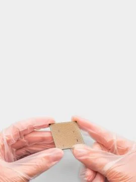 Hands in rubber glove with Central Computer Processor. CPU on grey background Stock Photos