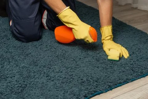Hands in rubber gloves clean the carpet, removing stains and dirt with househ Stock Photos