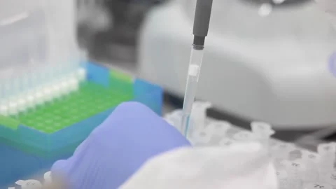 Hands in rubber gloves. hands of a laboratory assistant. test tubes, Video stock 141893564