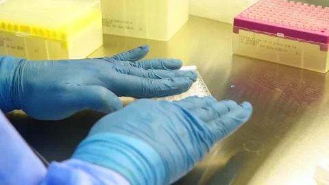 Hands in rubber gloves hold samples of PCR test Stock Footage 149147083