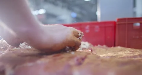 Hands rubbing a spice mixture onto large pieces of raw meat on a work table in Vídeo Stock 339988296