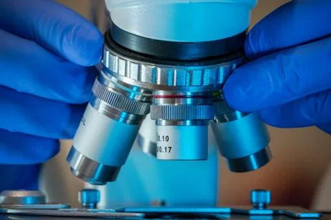 Hands of scientist adjusting microscope in laboratory. Stock Photos