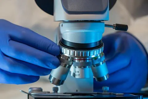 Hands of scientist adjusting microscope in laboratory. Research and microbiol 库存照片