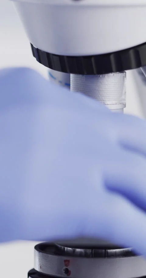 Hands, scientist and lens in lab with microscope, research and medical study for Stock Footage 336735848