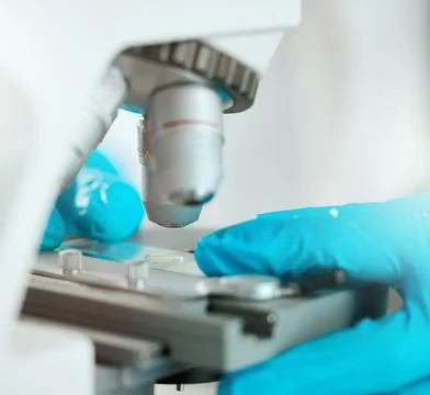 Hands, scientist and microscope with sample in laboratory for medical research Stock Photos