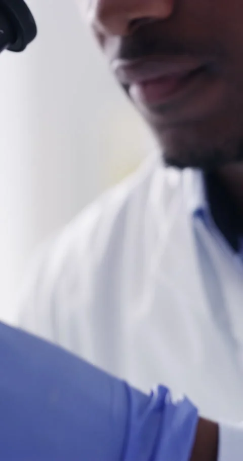 Hands, scientist and petri dish in lab with sample, research and medical study Stock Footage 336704841