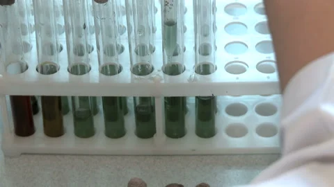 Hands of a scientist examining an unidentified fluid Stock Footage 92154184