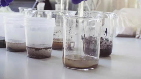 Hands of the scientist mixing samples of the soil Stock Footage 90384459