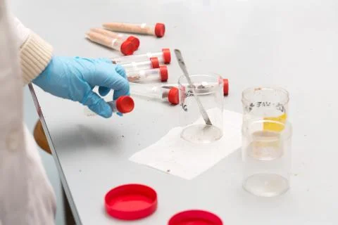 Hands of scientist at work 스톡 사진