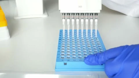 Hands of scientist working with multichannel pipette and multi well plates Video stock 156014893