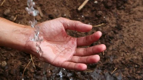 Hands scoop up clear water from stream to drink or wash. purity Small river Stock Footage 270407559