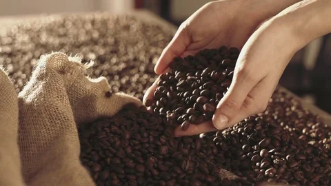 Hands scoop coffee beans in slow motion Stock Footage 76050592