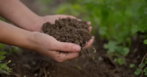 Hands scooping up fresh clean soil 库存影片 218488175