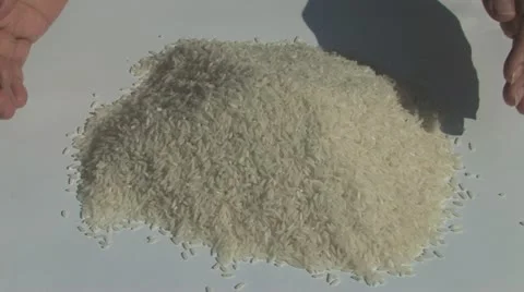 Hands scooping rice Stock Footage 11706847