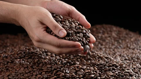 Hands scooping up roasted coffee beans. Stock Footage 177547135