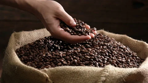 Hands scooping up roasted coffee beans. Stock Footage 177563845