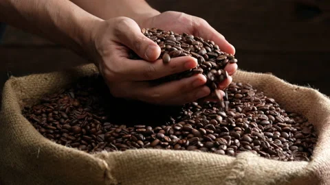 Hands scooping up roasted coffee beans. Stock Footage 177563990