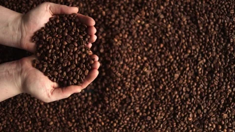 Hands scooping roasted coffee beans from a large pile, close-up shot Stock Footage 338441400