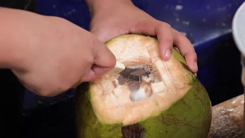 Hands Scraping Fresh Coconut Meat Close Up Stock Footage 345649201